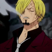 Sanji comfort 