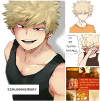 bakugo x todoroki