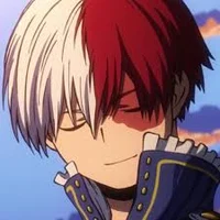 Shoto Todoroki