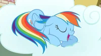 Cake -Rainbow dash