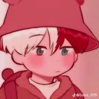 Shoto Todoroki