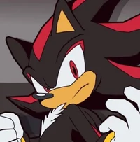 Shadow The Hedgehog 