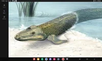 Random crocodile