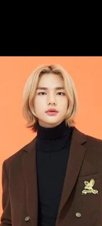 Hyunjin Hwang bsf au