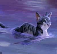 Jayfeather