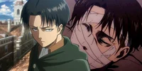 Levi Ackerman 