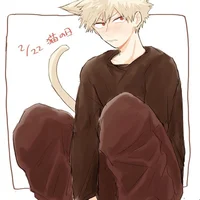 Katsuki Bakugou 