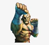 Sagat