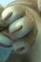 Smelly toes tiger 