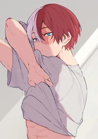 Shoto todoroki