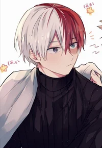Shoto Todoroki