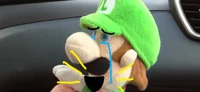 Luigi PLUSH funny