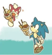 Sonic and chip