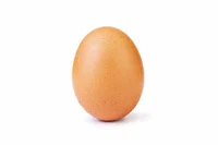 E G G