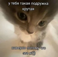 nikchk