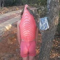 Lucy The Wedgie Dork