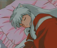 Inuyasha novio 