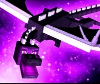 Enderdragon -RP-
