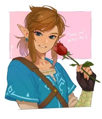 Link