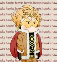 Hawks