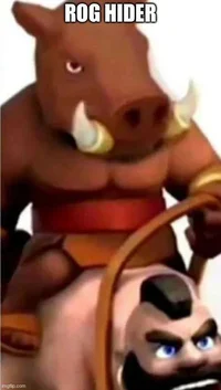 Rog Hider