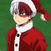 Shoto todoroki 