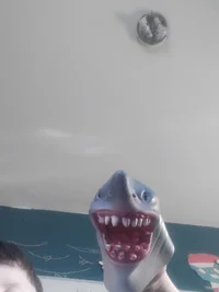 Shark Puppet