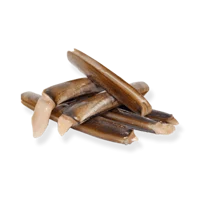 Pacific razor clam
