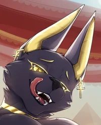 Anubis TF