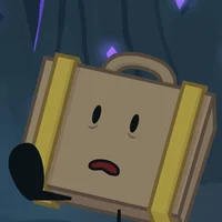 Suitcase II