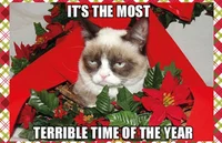 GRUMPY CAT 