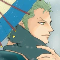 Owner Zoro 