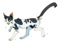 Swiftpaw