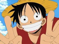 Luffy br