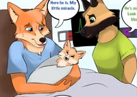 Gay pregnant furry