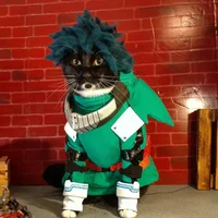 Cat Deku 