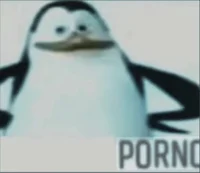 Porno