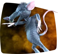the Rat