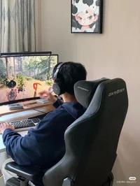 Gamer 