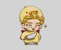 Hawks