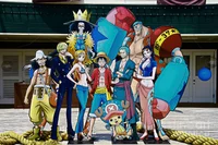 Strawhat pirates 