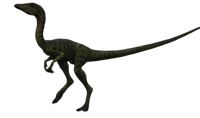 Compsognathus v2