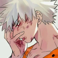 Bakugou herido