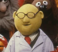 Dr Bunsen Honeydew