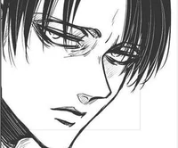 Levi Ackerman 