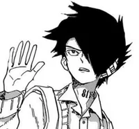 Ray - TPN