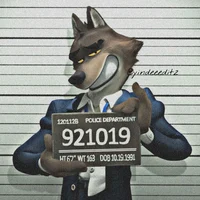 Mr Wolf