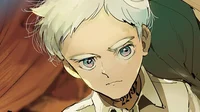 Norman - TPN