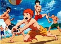 Haikyuu beach day