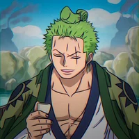 Zoro Fr 